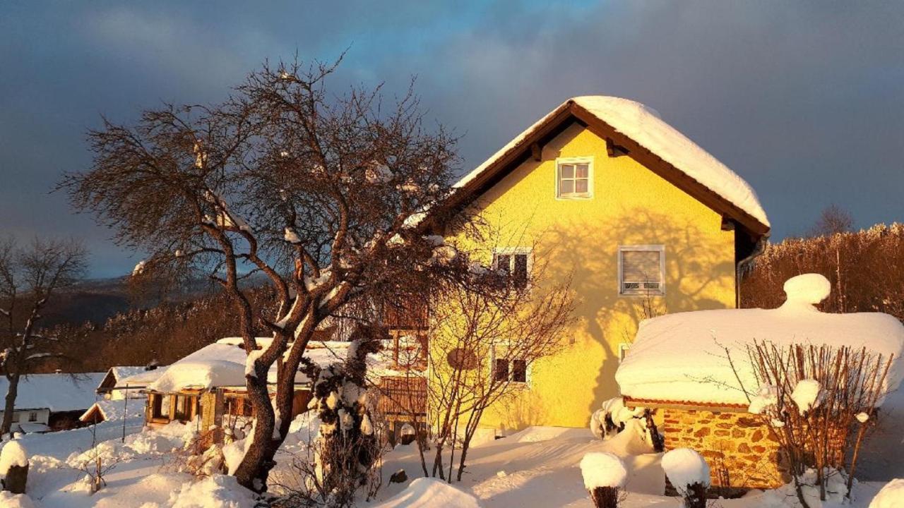 Ferienwohnung Sigi'S Waldhaus Neuschönau Eksteriør billede